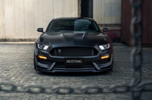 Majestic Ford Mustang Shelby Gt350 In Motion Wallpaper