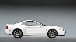 Majestic Ford Mustang Svt Cobra In High Definition Wallpaper