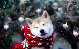 Majestic Fox Roaming Through A Snowy Forest Wallpaper