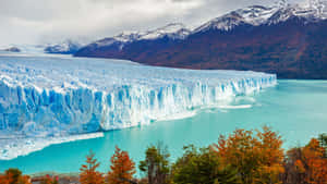 Majestic_ Glacier_with_ Autumn_ Foliage.jpg Wallpaper