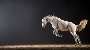 Majestic Golden Horse Leap Wallpaper