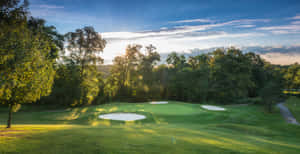 Majestic Golf Green With Flag And Tree-lined Background Wallpaper