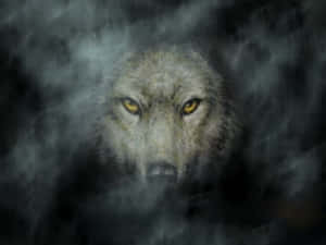 Majestic Gray Wolf In The Wild Wallpaper