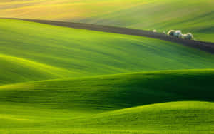 Majestic Green Hills Wallpaper