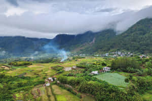 Majestic Green Landscape In Full Bloom Wallpaper