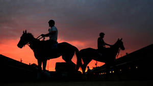 Majestic Horse Silhouette - Kentucky Derby Wallpaper