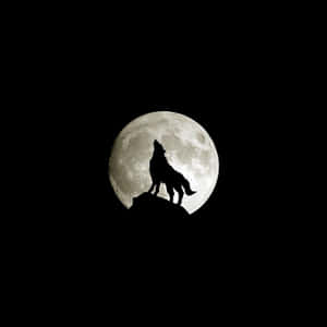 Majestic Howling Wolf Under The Full Moon Wallpaper