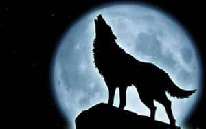 Majestic Howling Wolf Under The Full Moon Wallpaper