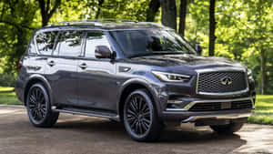 Majestic Infiniti Qx80 On The Road Wallpaper