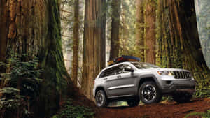 Majestic Jeep Grand Cherokee In Wilderness Wallpaper