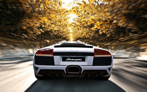 Majestic Lamborghini Murciélago In Action Wallpaper