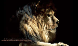 Majestic Lion Of Judah Roaring Wallpaper