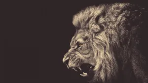 Majestic Lion Profile Wallpaper