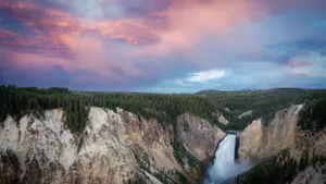 Majestic Lone Tree Against The Majestic Yellowstone Wallpaper