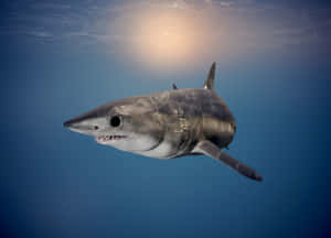 Majestic Mako Shark Swimming Wallpaper