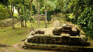 Majestic Mayan Ruins Of Copan In Honduras Wallpaper