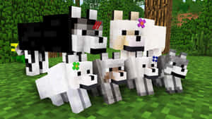 Majestic Minecraft Wolf In The Wild Wallpaper