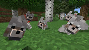 Majestic Minecraft Wolf In The Wild Wallpaper