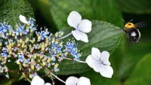 Majestic Misty Forest Wallpaper