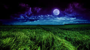 Majestic Moon Landscape Wallpaper