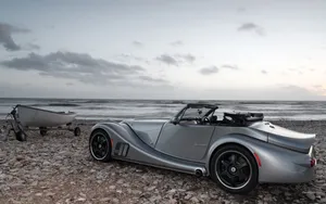 Majestic Morgan Horse Galloping In A Field Wallpaper