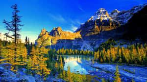 Majestic Mountain Peak At Sunrise Wallpaper