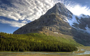 Majestic_ Mountain_ Peak_with_ Forest_and_ Clouds.jpg Wallpaper