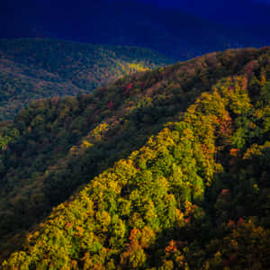 Majestic Mountain View At The Blue Ridge Parkway Wallpaper