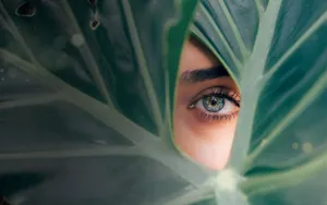 Majestic Natural Landscape Wallpaper Wallpaper