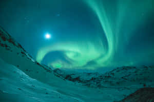 Majestic Northern Lights Wallpaper