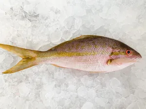 Majestic Oceanic Sunset Wallpaper