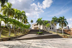 Majestic Palm Trees Complementing The Historical Alcazar De Colon Wallpaper