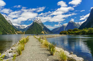 Majestic Pathway In Milford Sound Wallpaper