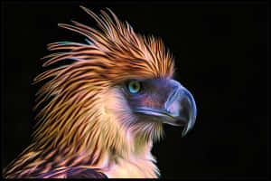 Majestic_ Philippine_ Eagle_ Portrait Wallpaper