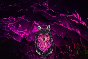 Majestic Pink-hued Wolf Howling At The Moon Wallpaper