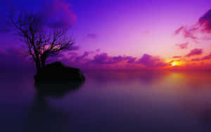 Majestic Purple Sunset Wallpaper