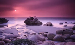 Majestic Purple Sunset Wallpaper