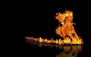 Majestic Rapidash Galloping Against Fiery Background Wallpaper