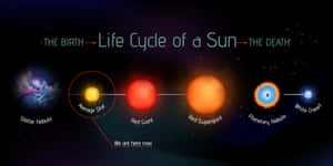 Majestic Red Giant Star Wallpaper