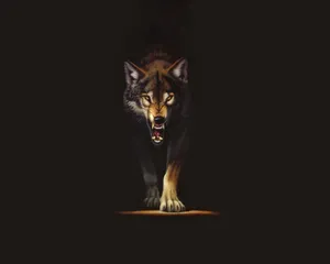 Majestic Red Wolf Staring Into The Wilderness Wallpaper