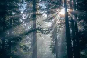 Majestic Rocky Mountain Peaks Wallpaper