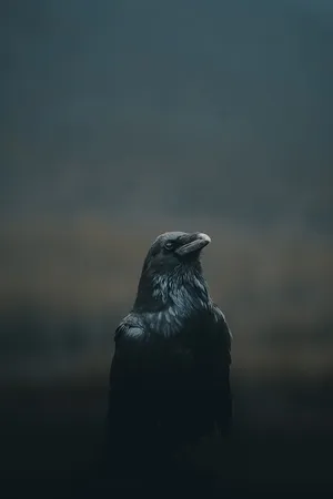 Majestic_ Rook_in_ Misty_ Background.jpg Wallpaper