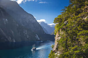 Majestic Ship Cruising The Tranquil Waters Of Milford Sound. Wallpaper