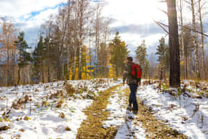 Majestic Siberian Wilderness Wallpaper