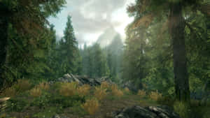 Majestic Skyrim Falkreath Landscape Wallpaper