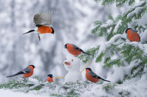 Majestic Snow Bird In A Winter Wonderland Wallpaper