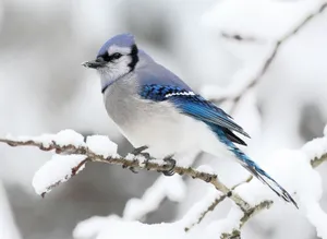 Majestic Snow Bird Perched On Leafless Branch Wallpaper