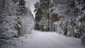 Majestic Snow-covered Road Wallpaper