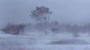 Majestic Snowstorm Engulfing The Landscape Wallpaper