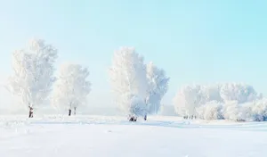 Majestic Snowy Landscape Wallpaper